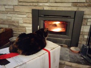 Image shows the area above the fireplace insert after treatment with soot removal product. Image also features our cat Enid on the Xmas tree box in front of the fireplace.
